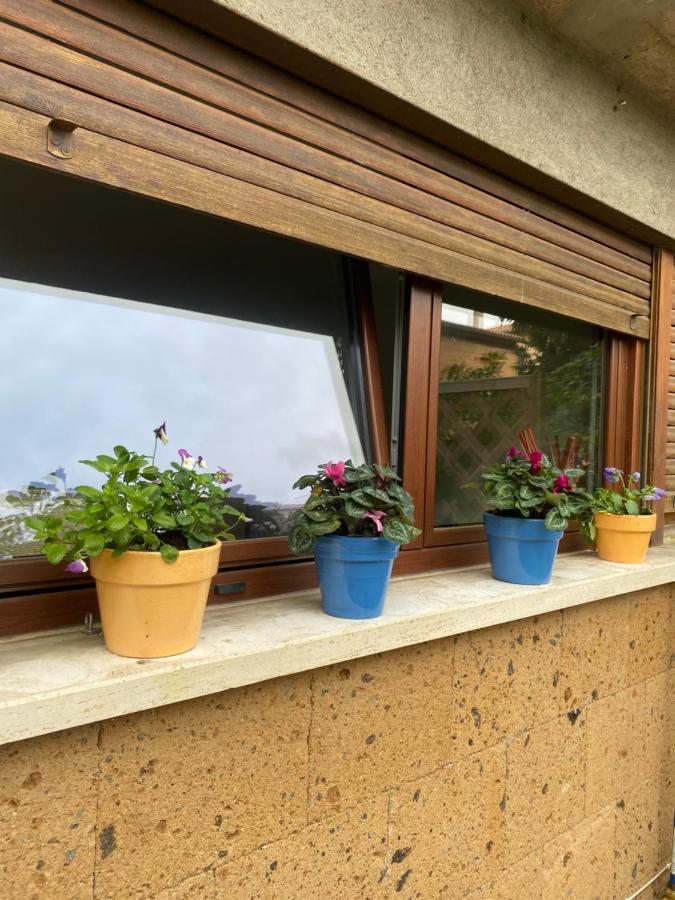 奥维多Il Giardinetto Di Elelu' Private Garage公寓 外观 照片